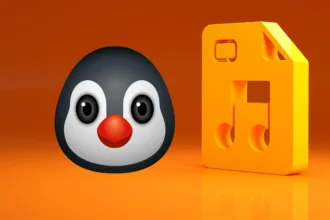 Terminal Linux tocando MP3 com MPV usando a linha de comando