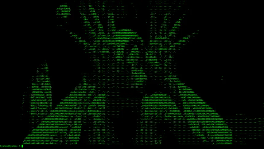 Personalização visual do terminal Linux com cmatrix e efeitos de cores