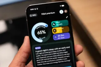 IA Fitbit