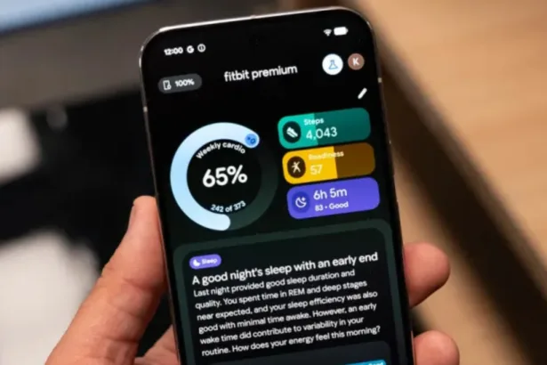 IA Fitbit