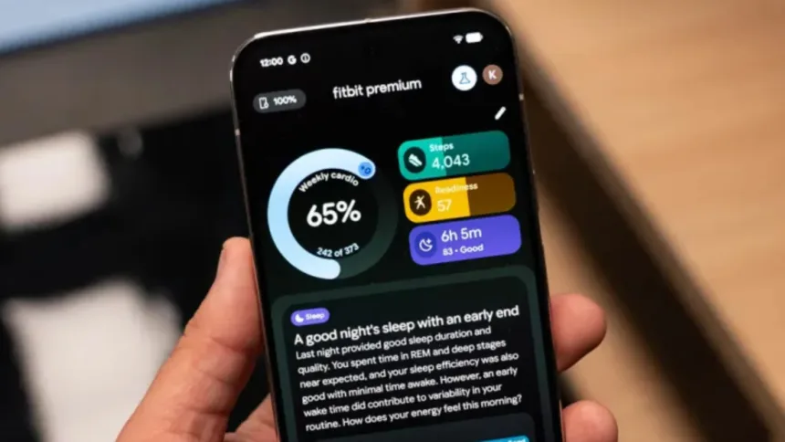 IA Fitbit