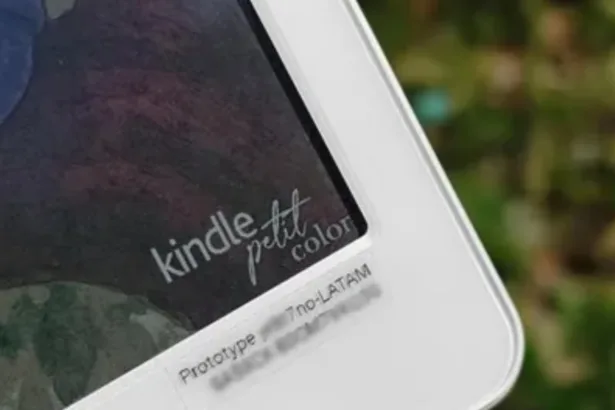 Kindle Petit Color