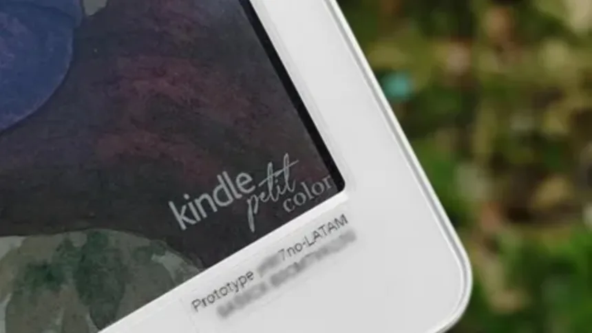 Kindle Petit Color