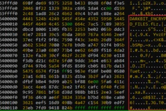 Ransomware Darkbit