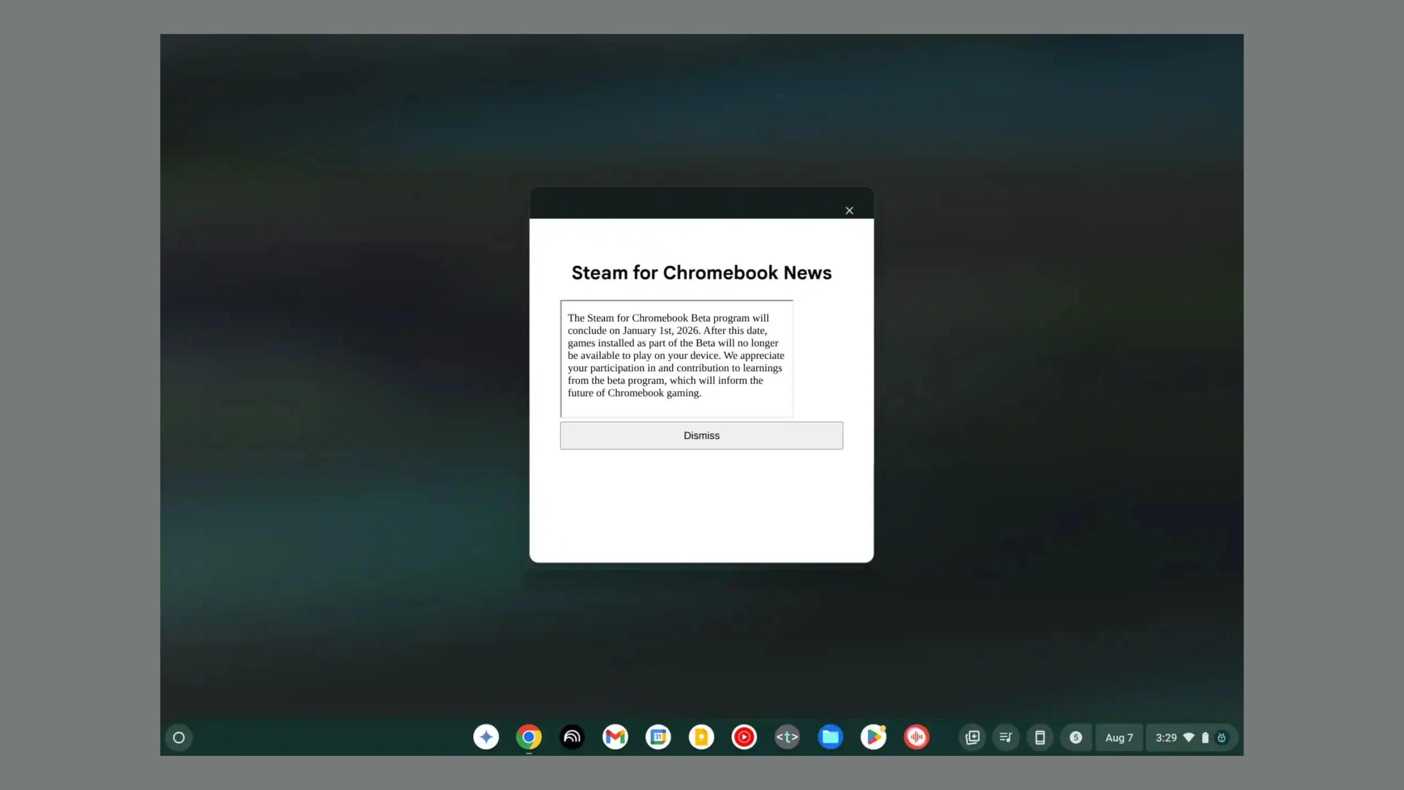 Steam Chromebook