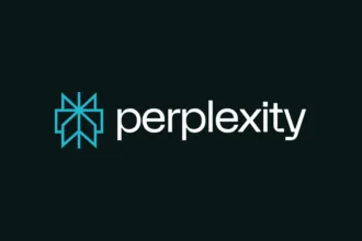 Perplexity