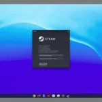 Steam Chromebook