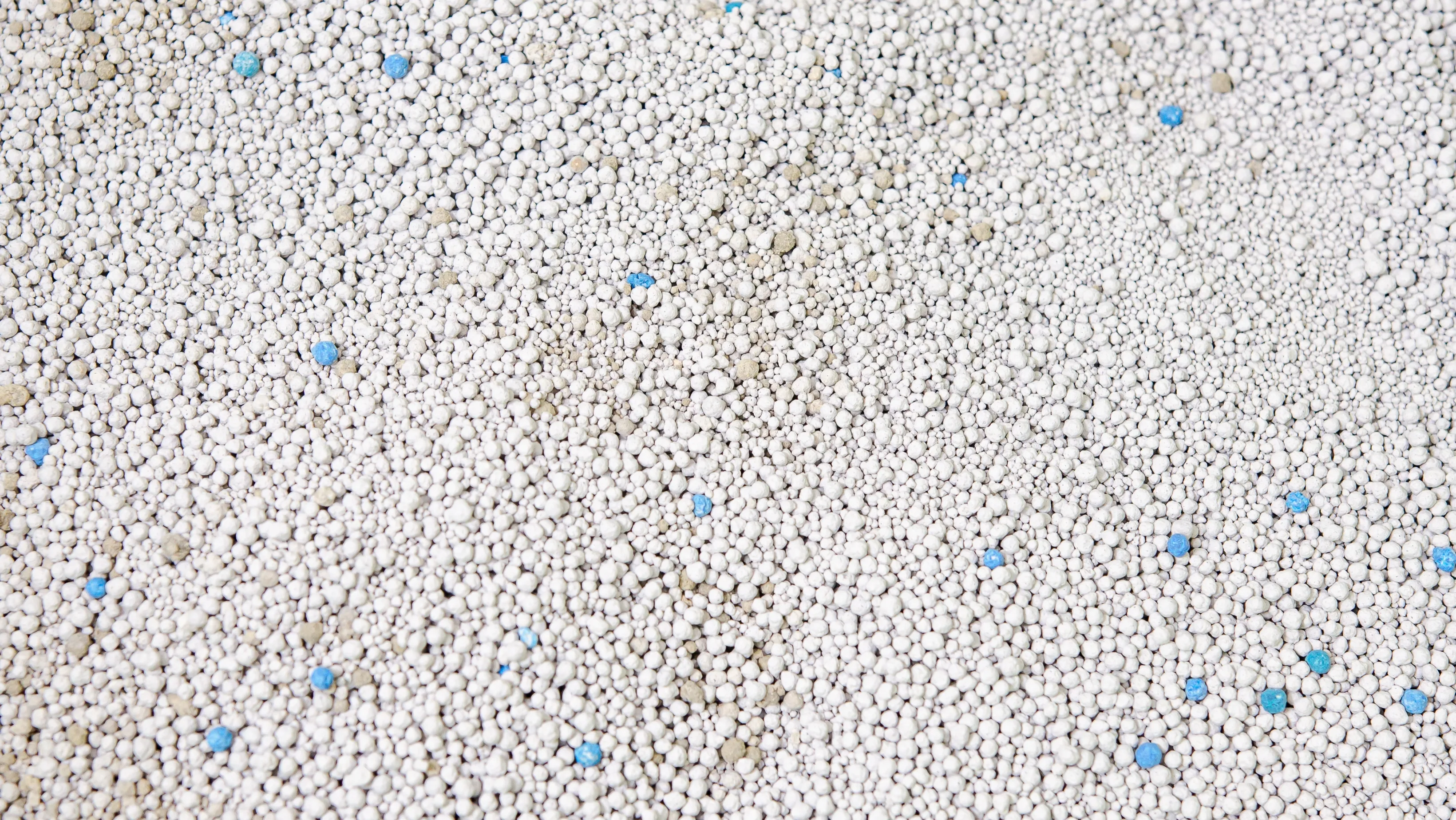 Exemplo visual de como o seccomp Linux filtra syscalls e bloqueia ameaças