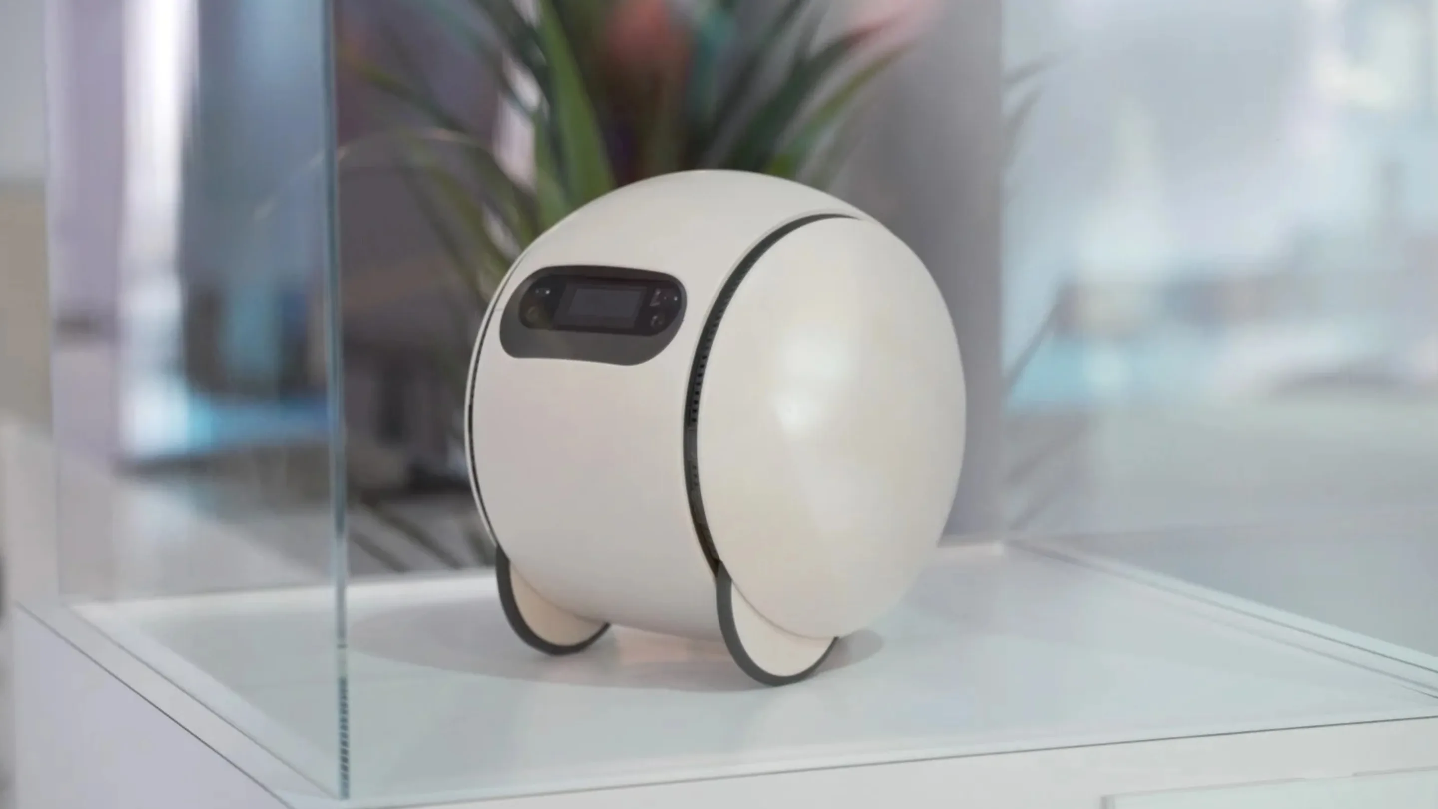 Robô Ballie da Samsung foi cancelado? Sinais preocupam