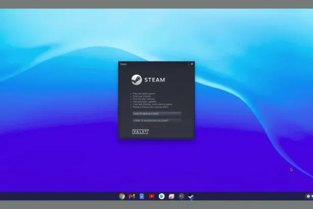 Steam Chromebook