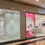 Vazamento de dados Pandora
