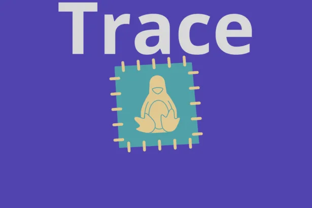 Linux kernel tracing: correção