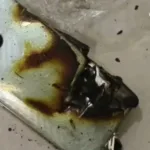 Xiaomi 13 explode