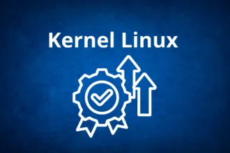 13qd3PQI linux dma api