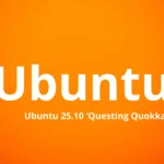 25 10 beta questing quokka