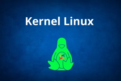 V9NW8dUL dedicada drm rust kernel linux