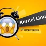 linux kernel revocable