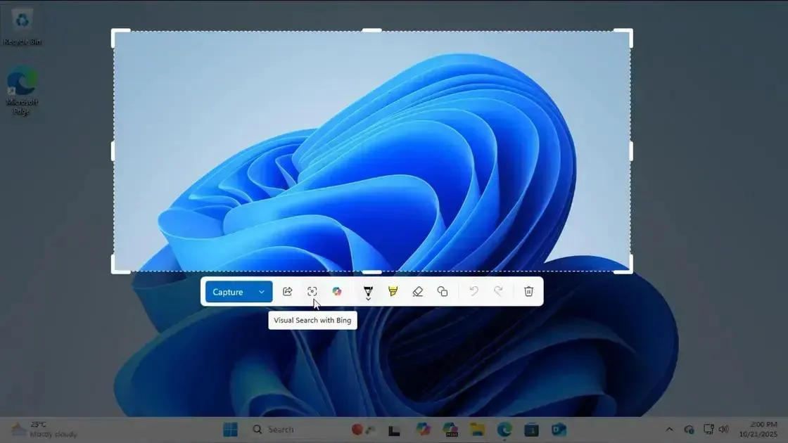 Snipping Tool do Windows 11 ganha recurso de busca visual integrado