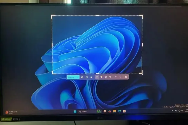 Windows 11 agora permite anotações em capturas de tela de maneira simples