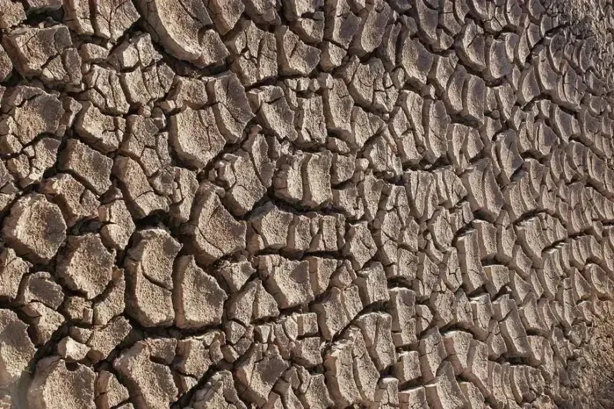 Governador da Califórnia veta projeto de lei sobre uso de água em datacenters