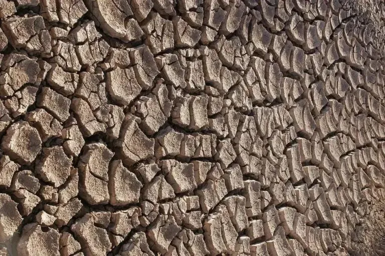 Governador da Califórnia veta projeto de lei sobre uso de água em datacenters