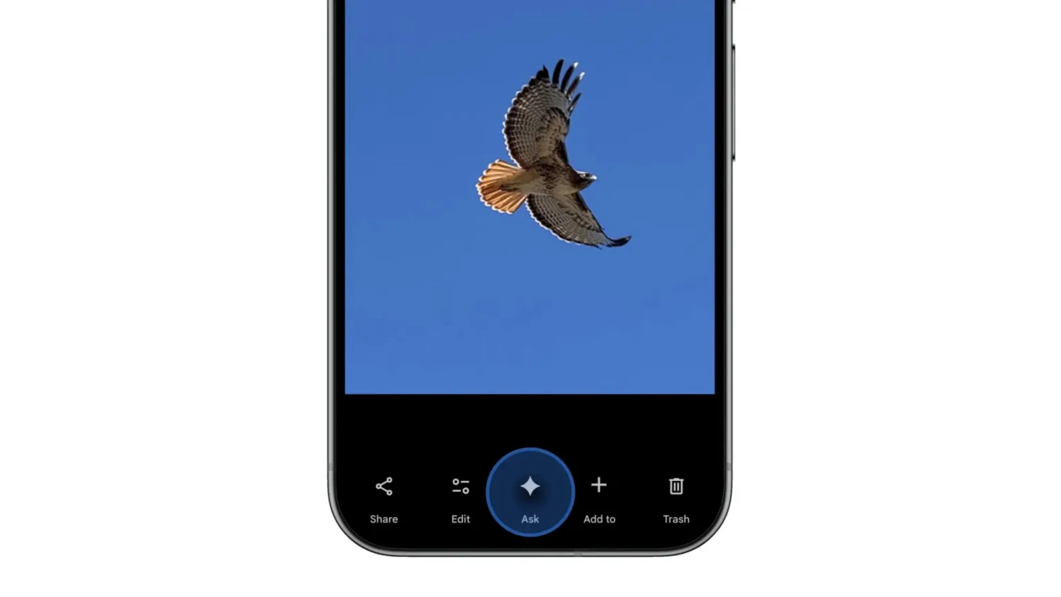 Ww8R8fHp fotos atualizacao ia recursos 2