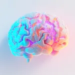 ann ism ciberseguranca apps jogos ecommerce