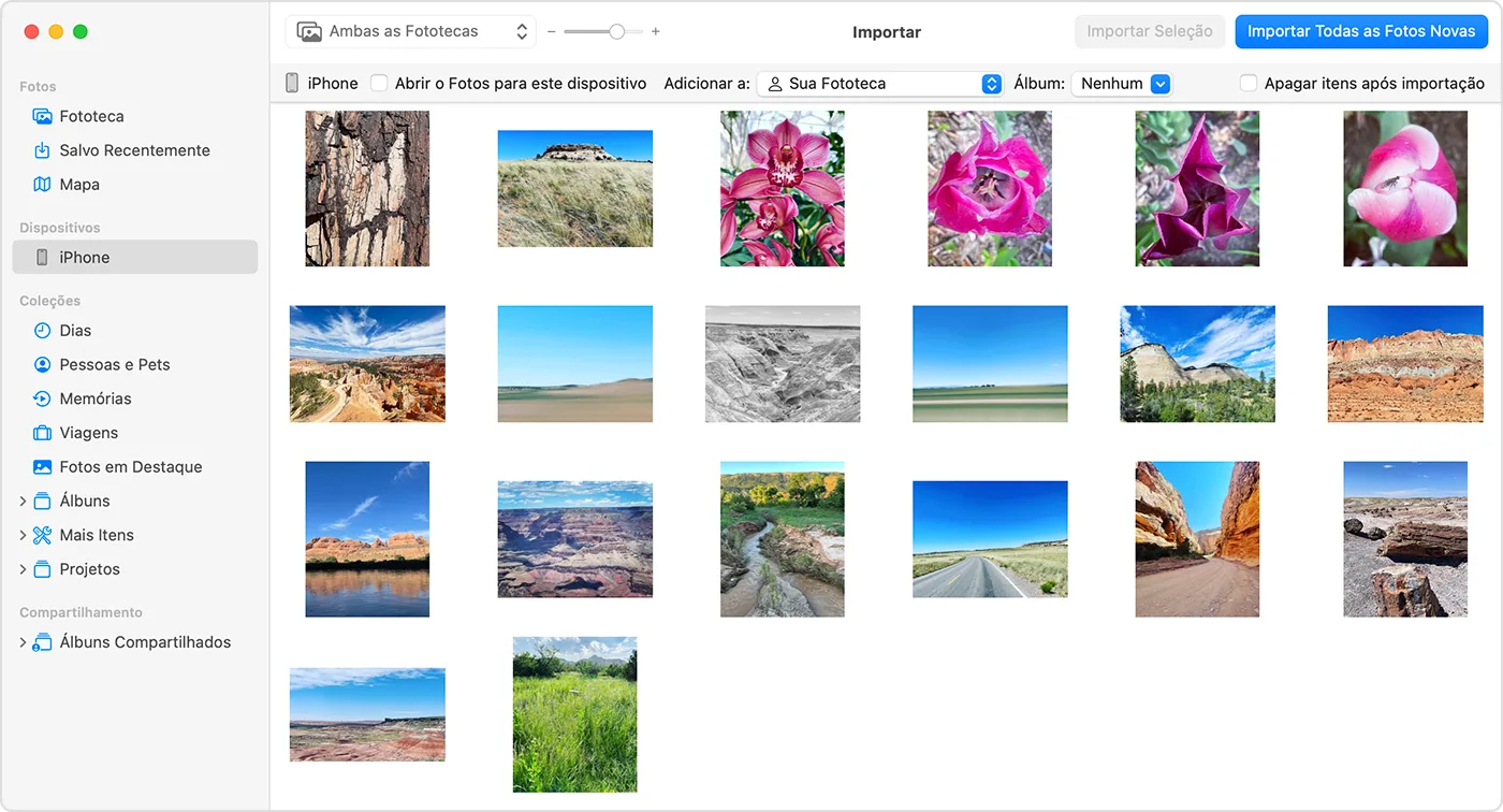 Organizador de fotos: top softwares para colocar sua biblioteca em ordem 6 325FJnxX image 1