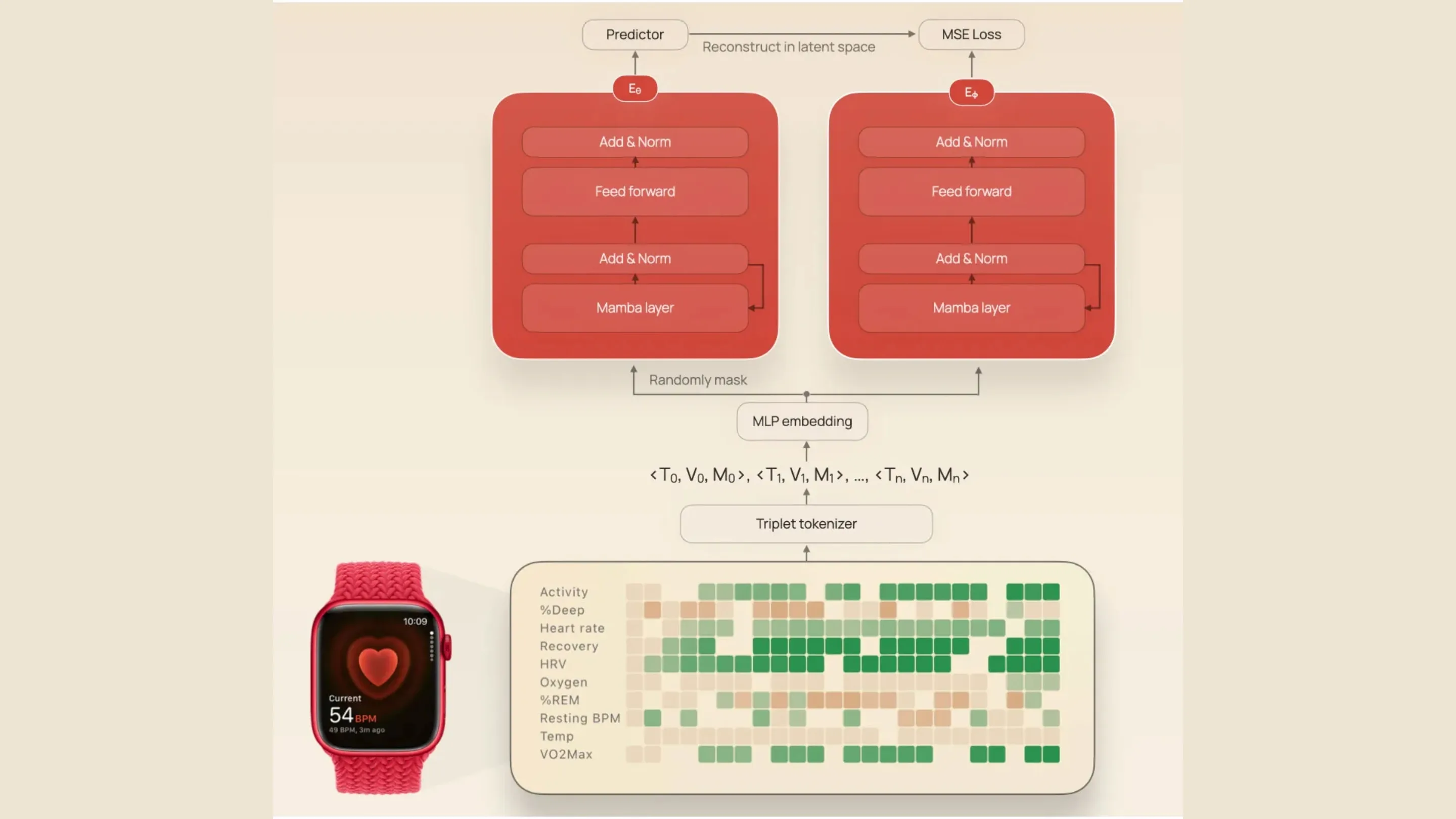 JETS: a inteligência artificial treinada com 3 milhões de dias de dados do Apple Watch 1 Apple Watch