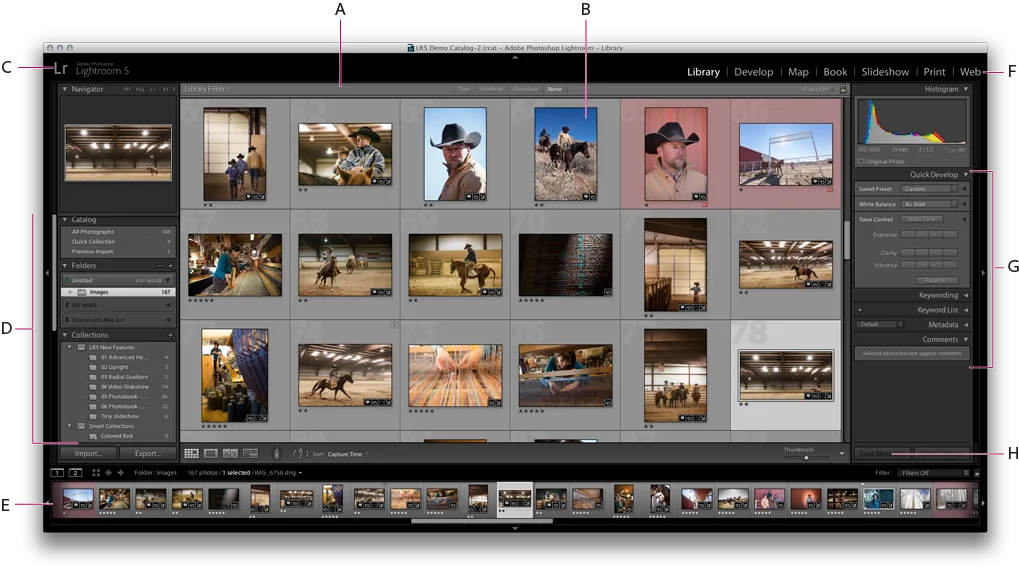 Organizador de fotos: top softwares para colocar sua biblioteca em ordem 3 cBbRVgeB image