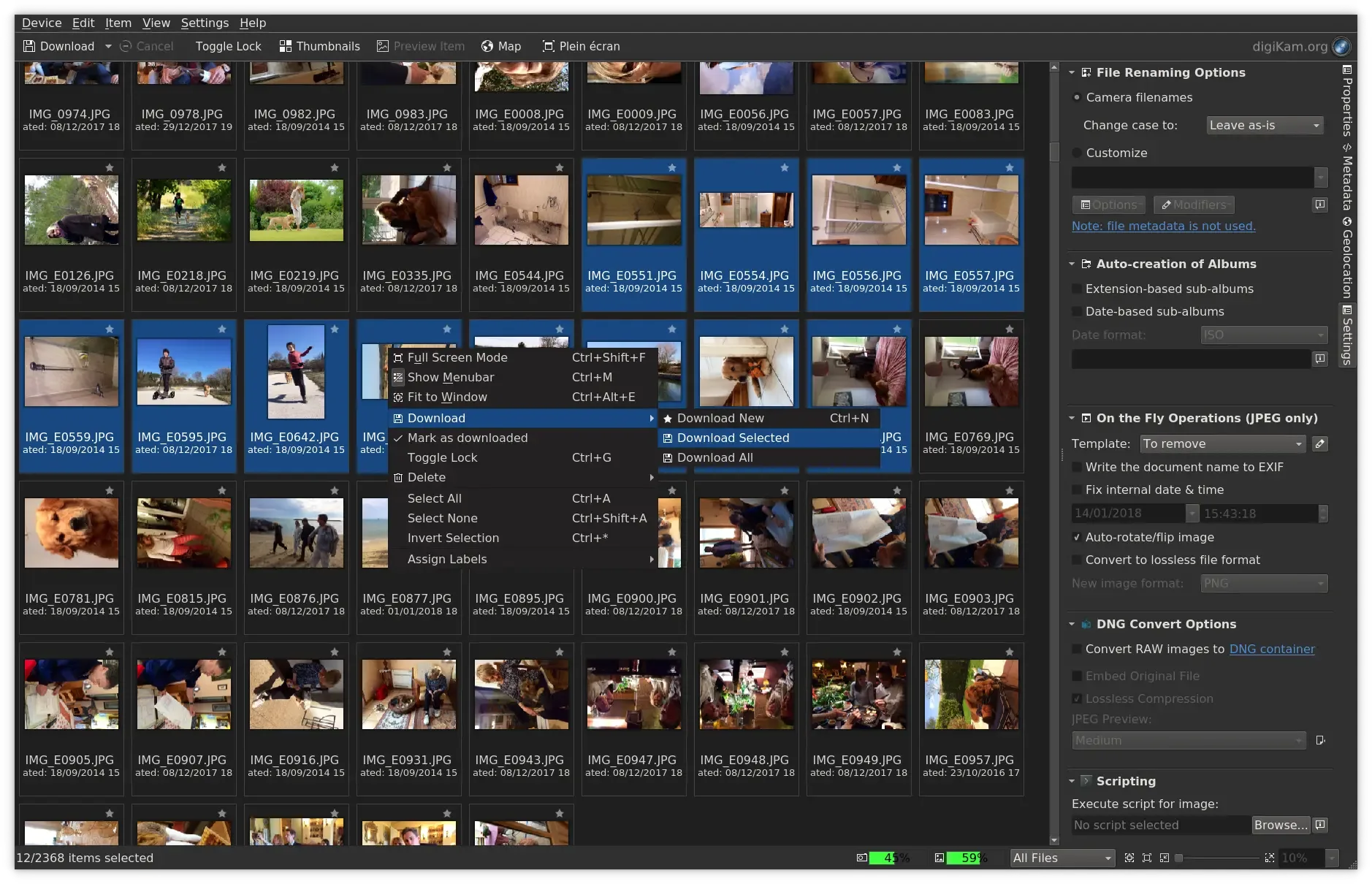 Organizador de fotos: top softwares para colocar sua biblioteca em ordem 7 gDWqUO2u image 2