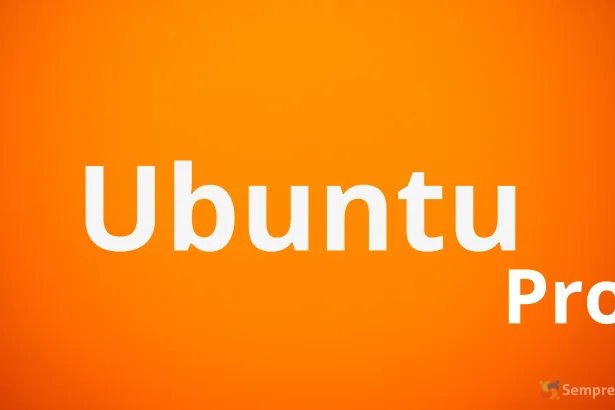 4SoKaxOt pro wsl enterprise