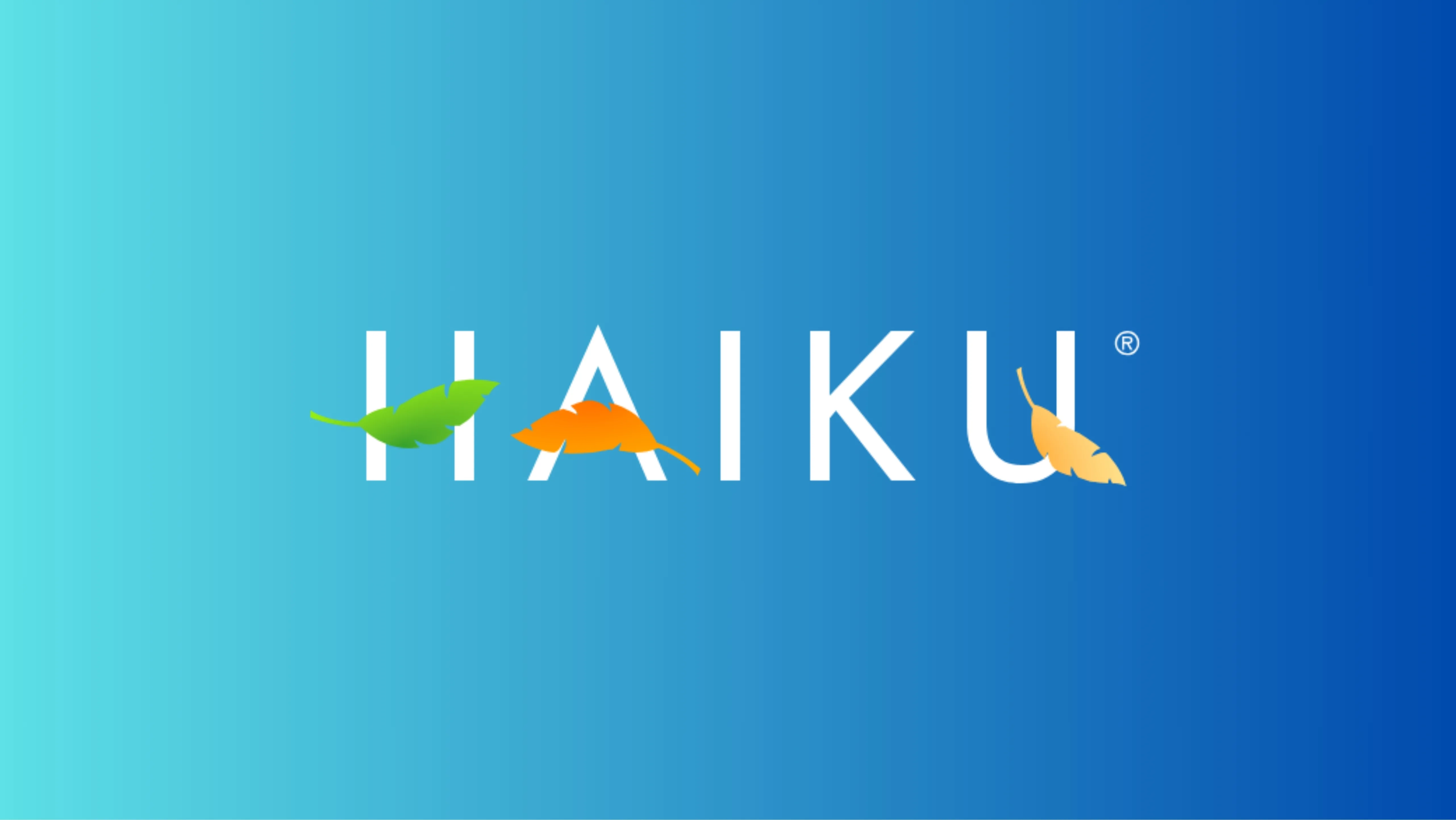 Haiku OS avança rumo ao Beta 6 com drivers FreeBSD 15 atualizados