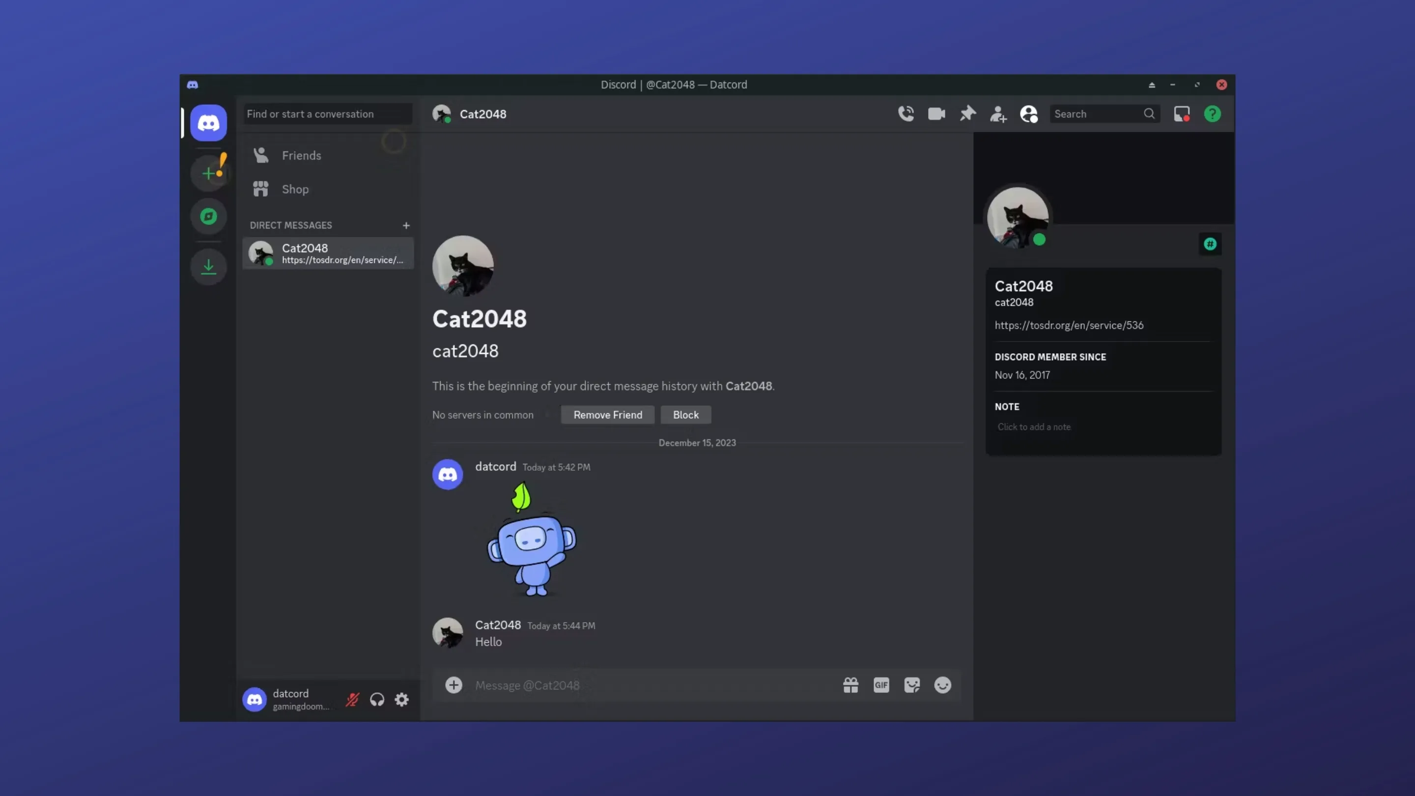 Imagem com a interface do Datcord