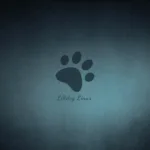 26 02 06 novidades lancamento