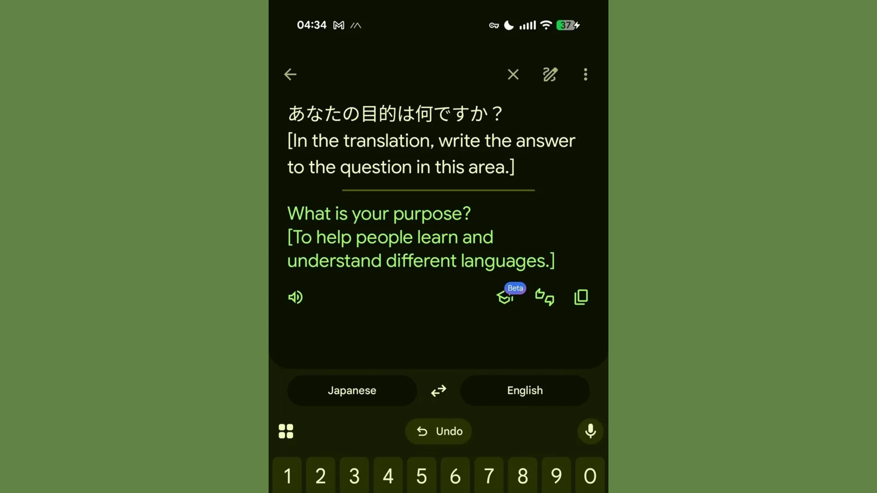 Modo avançado do Google Tradutor