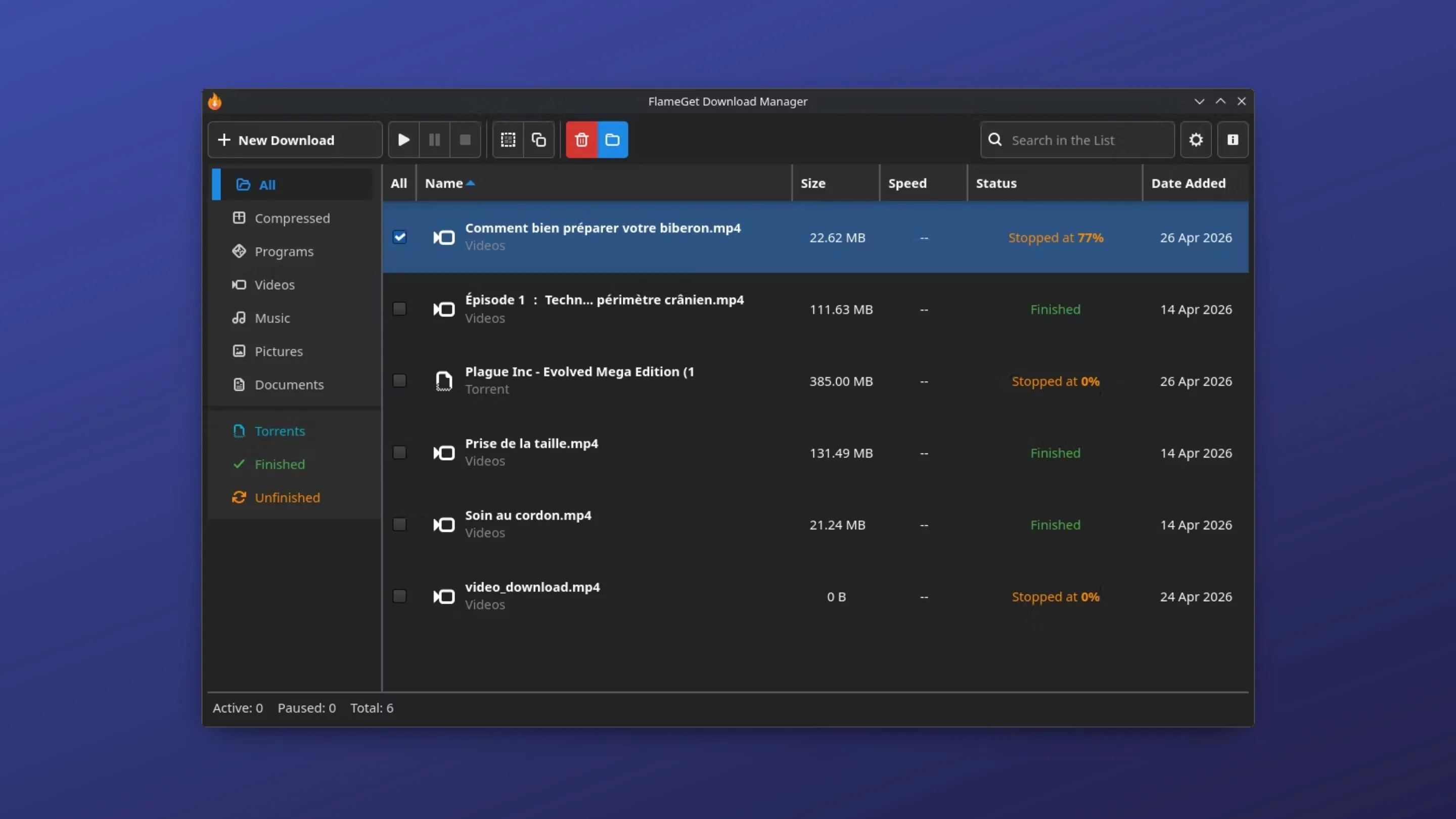 Imagem com a interface do FlameGet
