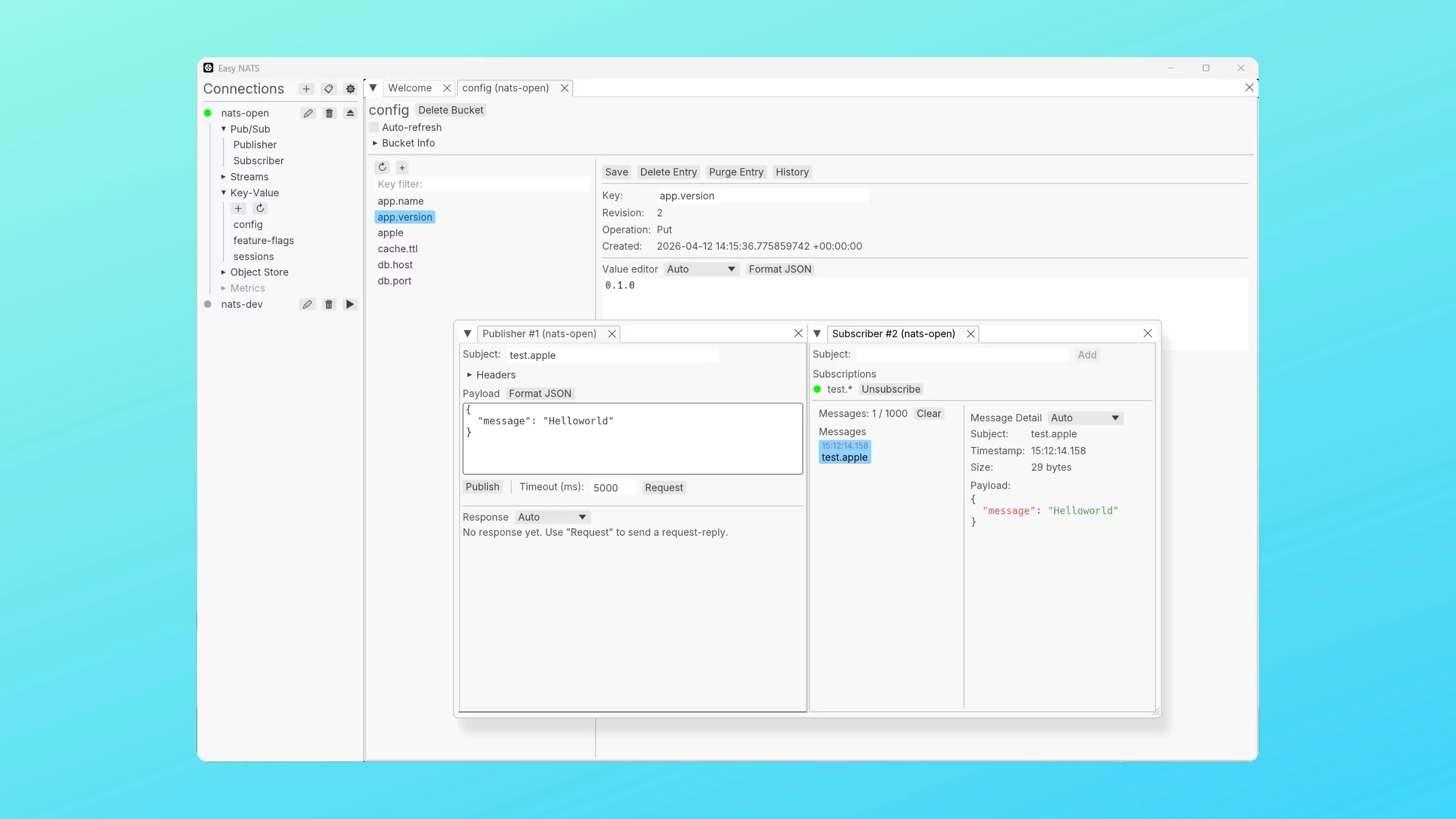 Imagem com a interface do Easy Nats