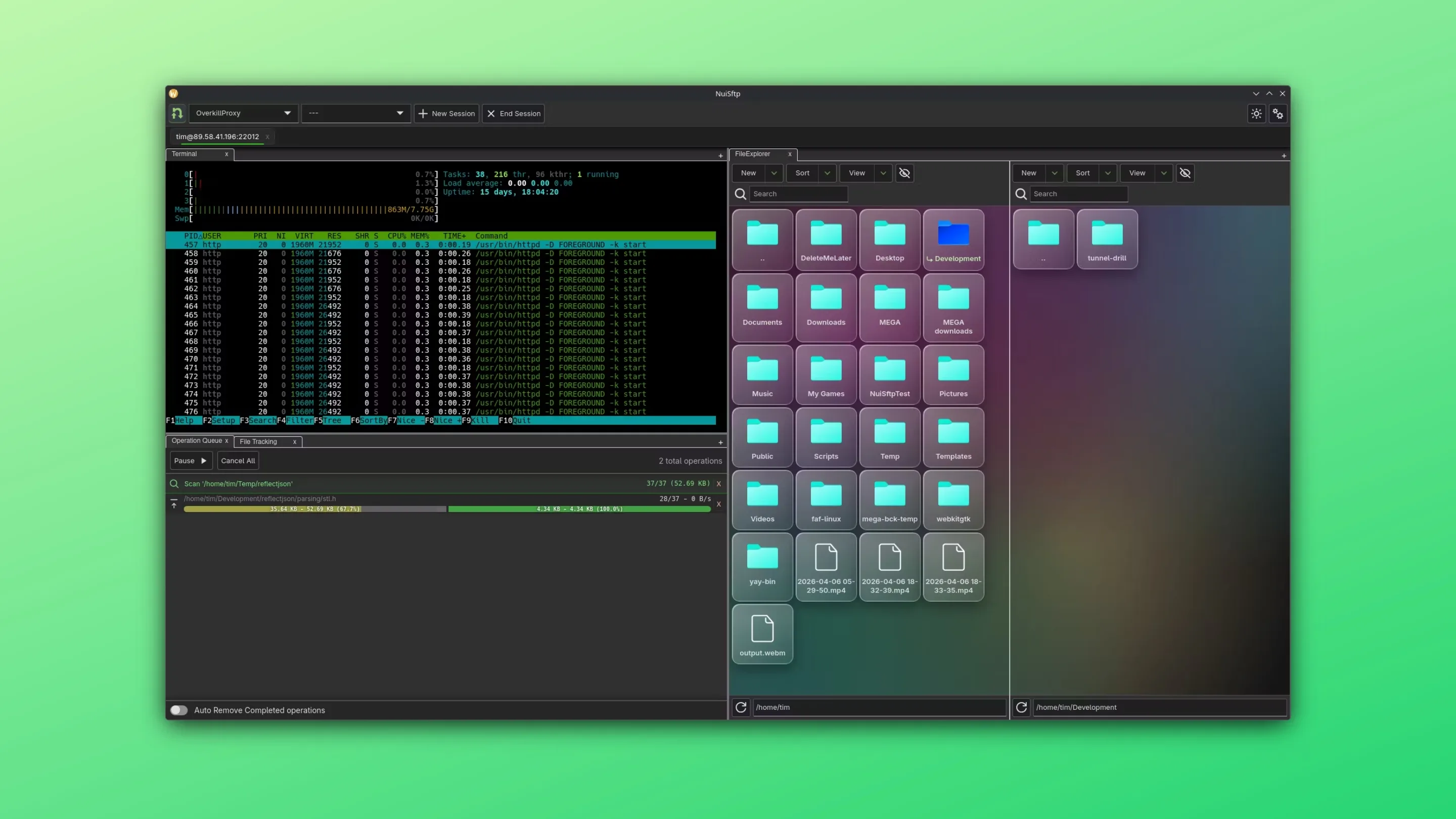 Imagem com a interface do nui-sftp
