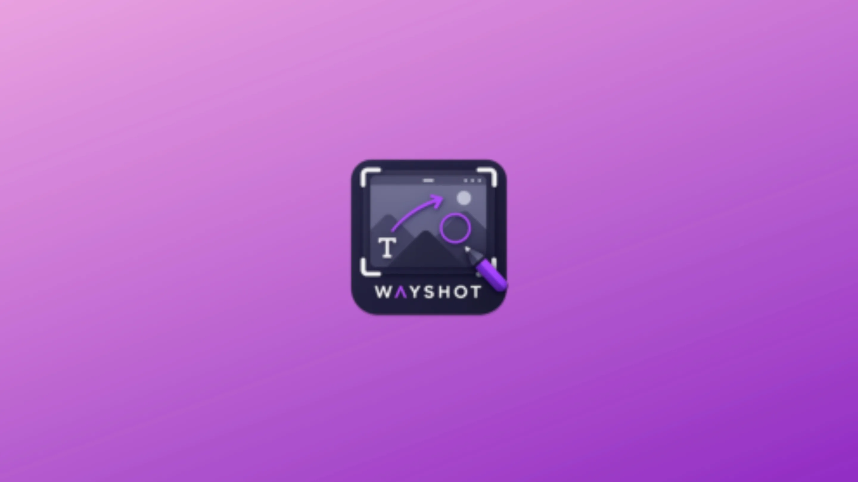 Imagem com a logomarca do Wayshot