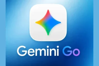 Gemini Go