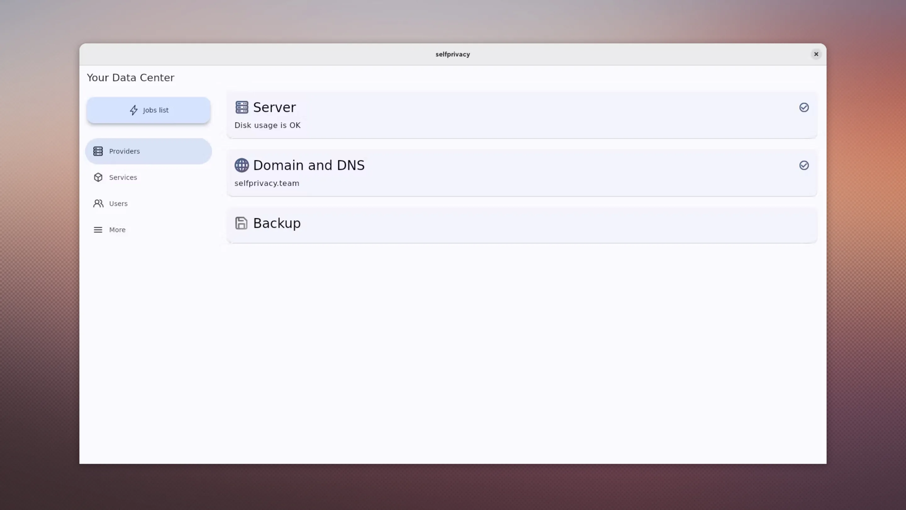 Imagem com a interface do Selfprivacy