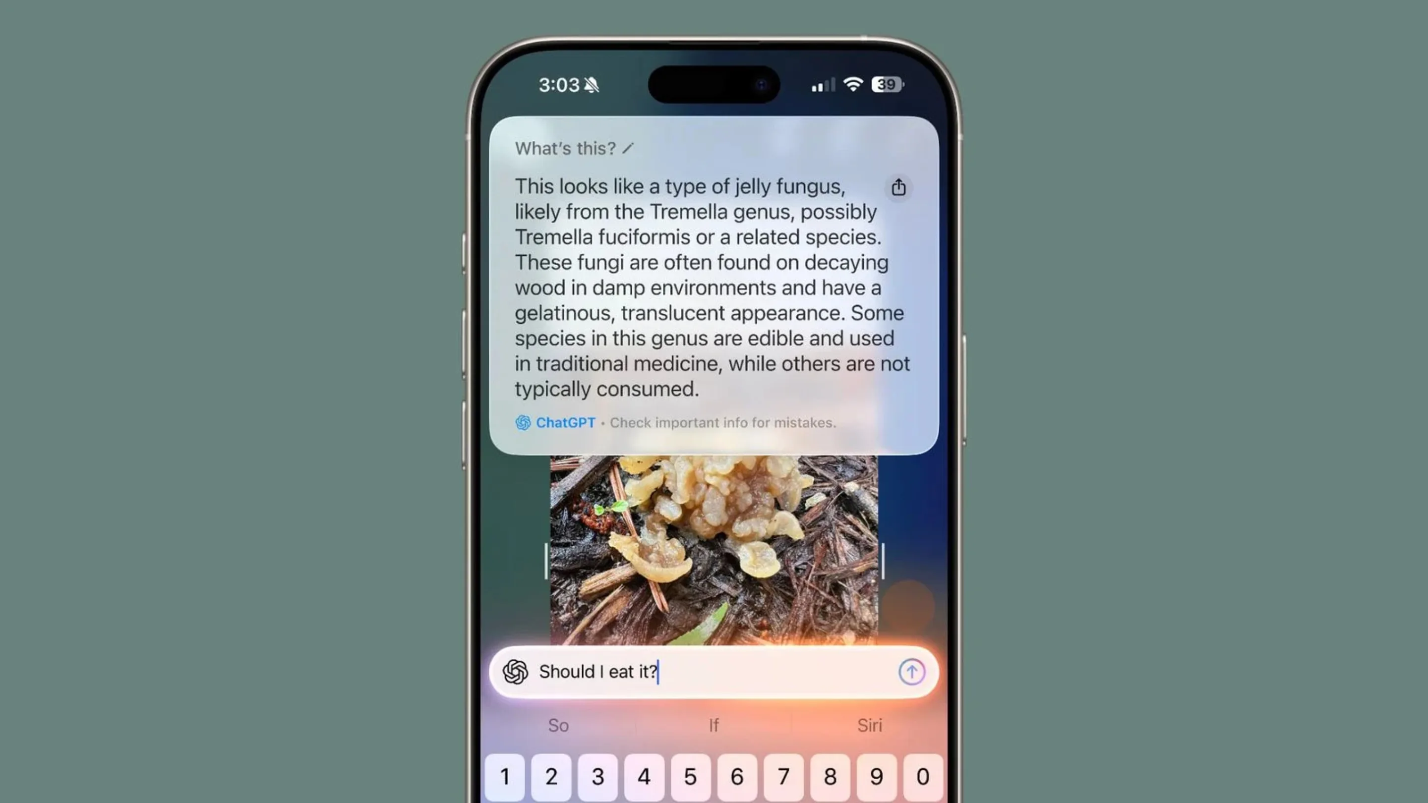 Anúncios na Inteligência Visual da Apple surgem no iOS 27 2 zWtG7O0o inteligencia visual apple ios 27